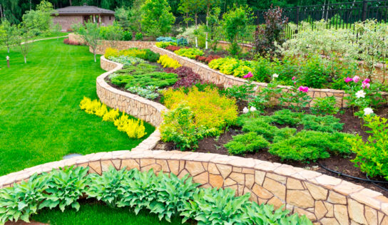 ¿Cuáles son las ventajas de contratar a un diseñador de jardines?