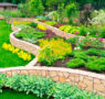 ¿Cuáles son las ventajas de contratar a un diseñador de jardines?