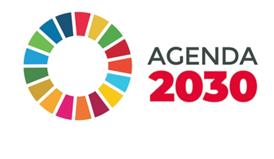 POLARIS DATA repasa la Agenda 2030 y su hoja de ruta para conseguir los Objetivos de Desarrollo Sostenible