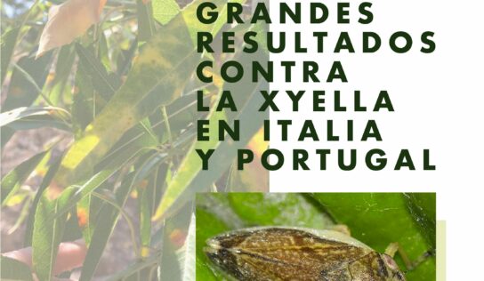 LIFE Resilience logra grandes resultados en Portugal e Italia para evitar la introducción de la Xylella