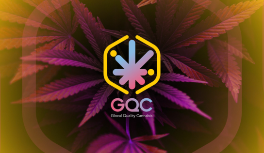 Nace GQC: la primera start-up, federada por PQE Group, para dar soporte al Cannabis Medicinal