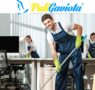 Información y asesoramiento para la correcta limpieza profesional, por PULIGAVIOTA