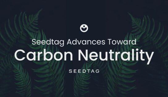 Seedtag avanza hacia la neutralidad de carbono comprometida con una industria publicitaria más sostenible