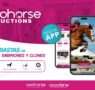 La App de subastas Ovohorse Auctions lanza un embrión de «Chacco Blue»
