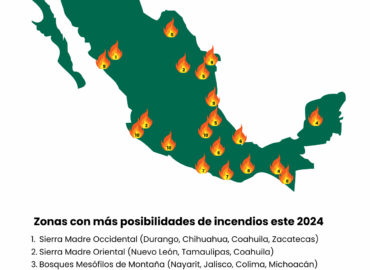 Estas son las 20 zonas con mayor riesgo de incendios forestales este verano 2024 según la IA