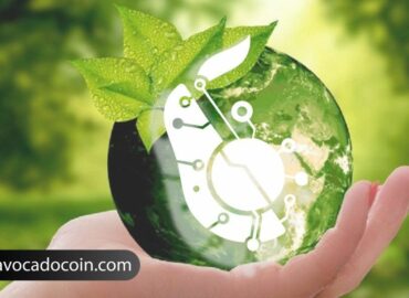 AvocadoCoin facilita la agricultura sostenible de aguacates a nivel global