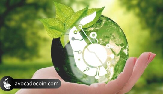 AvocadoCoin facilita la agricultura sostenible de aguacates a nivel global