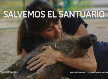 La Fundación Santuario Vegan lanza la campaña «Salvemos el Santuario» para poder mudarse al nuevo terreno