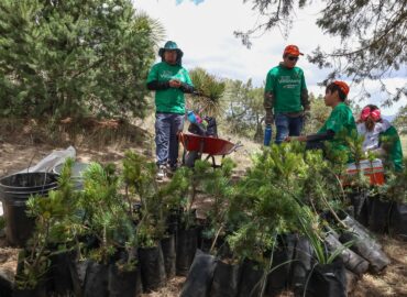 Iberdrola suma más de 1,800 acciones en biodiversidad en los últimos dos años, según informe de 2024