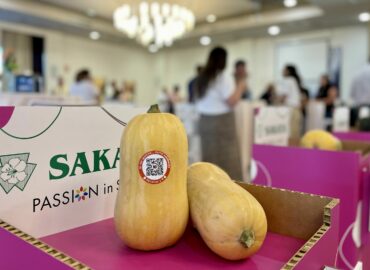 Calabaza nacional 365 días al año, clave para el aumento de consumo y nuevas oportunidades de negocio