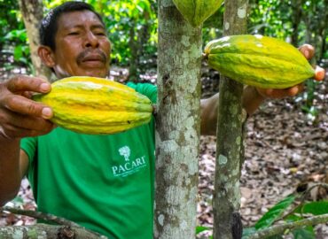 Paccari empresa responsable: prácticas que priorizan el bienestar económico, social y ambiental