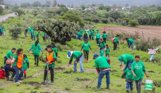 Iberdrola México planta 8,000 árboles en cinco estados