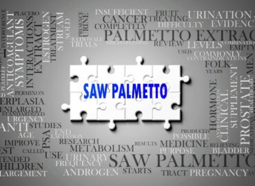 Saw Palmetto, de Serenoa Repens, potencia la salud prostática, urinaria y hormonal en hombres y mujeres