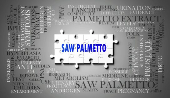 Saw Palmetto, de Serenoa Repens, potencia la salud prostática, urinaria y hormonal en hombres y mujeres