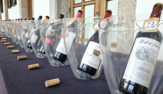 La «Aproximación a los Vinos de la Provincia de Lugo» celebra una edición récord con una masiva afluencia