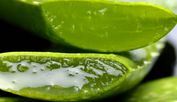 Ebanonatur se consolida como una tienda online de referencia en la venta de cosméticos elaborados a base de aloe vera