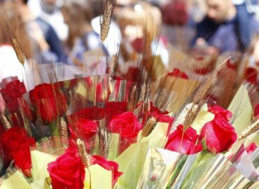 Este 2025 la venta de rosas superará los 7 millones de rosas en Sant Jordi según mayoristaderosas.com