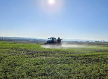 LIFE Innocereal EU mejora la producción de cereal un 17,2% y reduce la huella de carbono un 6,6%