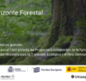 Horizonte Forestal: proyecto formativo gratuito