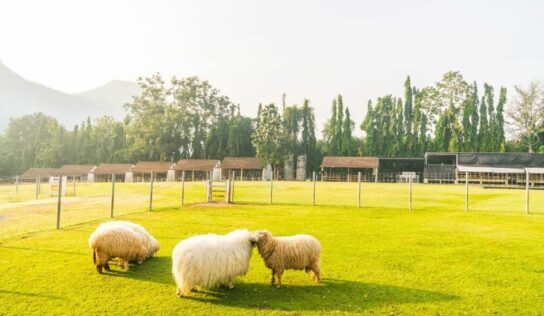 Bifeedoo impulsa la preparación sostenible de granjas para la primavera