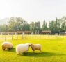 Bifeedoo impulsa la preparación sostenible de granjas para la primavera