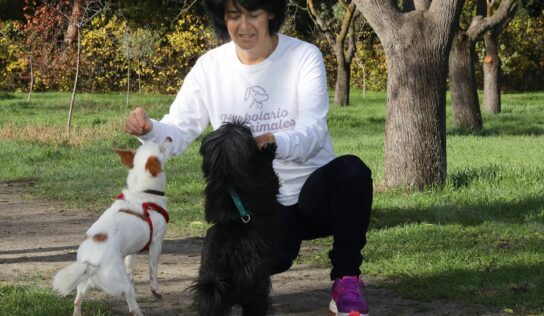 Consejos para que perros y gatos disfruten de la primavera según Herbolario para animales