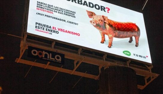 La presencia de Veganuary y su campaña siguen creciendo en Latinoamérica