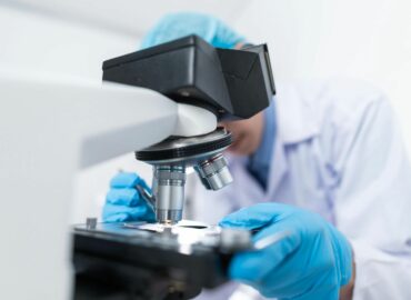 Centro San Bernardo CSB consolida su crecimiento y proyección internacional gracias a su alianza estratégica con Charles River Laboratories