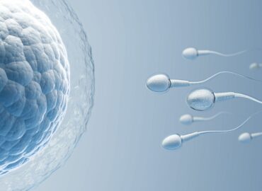 Dra. Estefanía Rodríguez, jefa del Servicio de Reproducción Asistida del Hospital de Día Quirónsalud Donostia y Policlínica Gipuzkoa: «La inteligencia artificial ya se utiliza para seleccionar óvulos y espermatozoides con mayor precisión»