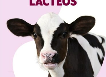 Veganuary recopila una ruta de cafeterías veganas en Lima