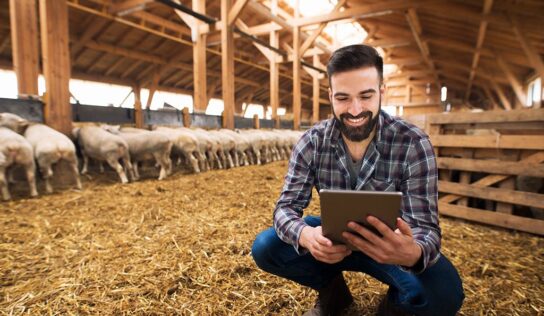 Correduría de Seguros Pueyo destaca la importancia del Seguro Agropecuario para proteger los cultivos este verano