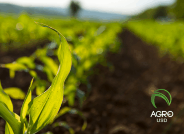 AgroUSD: la stablecoin respaldada por el campo que transforma la inclusión financiera rural