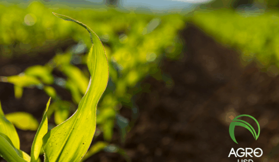 AgroUSD: la stablecoin respaldada por el campo que transforma la inclusión financiera rural