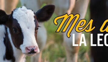 Real California Milk celebra el Mes Internacional de la Leche con sabor, salud e historia