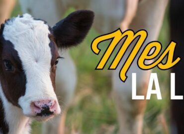 Real California Milk celebra el Mes Internacional de la Leche con sabor, salud e historia