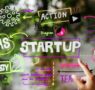 Solo el 15% de las startups españolas logra consolidarse en sus primeros tres años