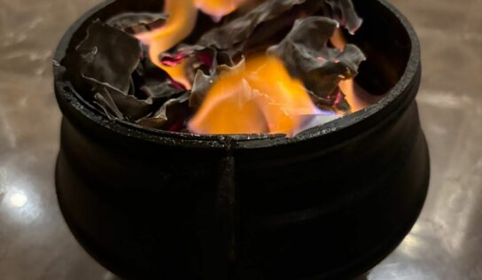 Luna Bruxa: sabiduría ancestral para la liberación energética