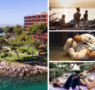 Vuelve del 22 al 27 de octubre el Mallorca BJJ and Yoga Festival