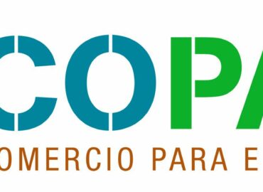 WoodLife: la madera más sostenible del planeta que conecta bosques, personas y futuro