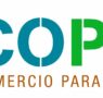 WoodLife: la madera más sostenible del planeta que conecta bosques, personas y futuro