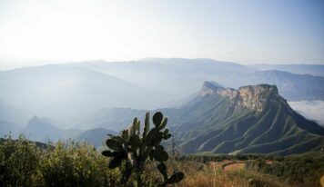 Plata Investment: Plataforma de inversión en metales preciosos mexicanos