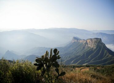 Plata Investment: Plataforma de inversión en metales preciosos mexicanos