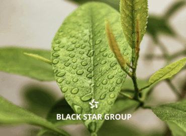 Black Star Group lanza nuevas soluciones para maquinaria agrícola e industrial
