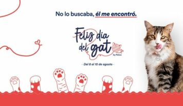 Día Internacional del Gato: PETCO reafirma su compromiso con el bienestar y el cuidado de los felinos