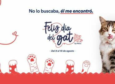 Día Internacional del Gato: PETCO reafirma su compromiso con el bienestar y el cuidado de los felinos