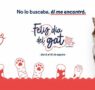 Día Internacional del Gato: PETCO reafirma su compromiso con el bienestar y el cuidado de los felinos