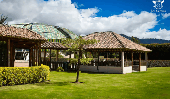 Cambridge: un nuevo paso hacia la excelencia bilingüe en Los Cerezos