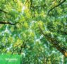 Schneider Electric alcanza el puesto nº 1 del Gartner® Top 25 Supply Chain por tercer año consecutivo