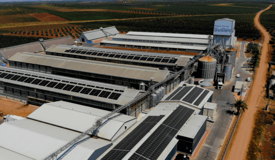 MASPV culmina con éxito la ampliación de la sexta planta fotovoltaica de Huevos Guillén
