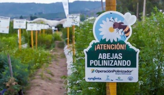 Syngenta transforma el campo mexicano con innovación regenerativa